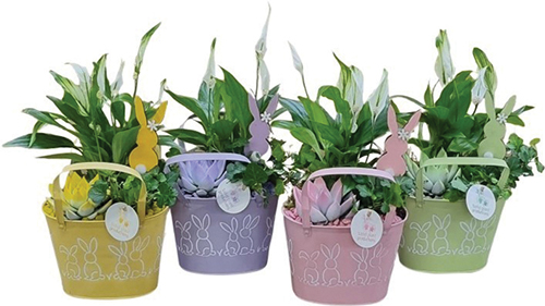  COMPOSITION PANIER DE PÂQUES code EAN 3599830835793 