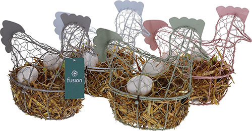  COMPOSITION DE NARCISSES FORME POULE code EAN 3599830852363 