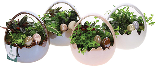  COMPOSITION PANIER DE PÂQUES FORME ŒUF code EAN 3599830852400 