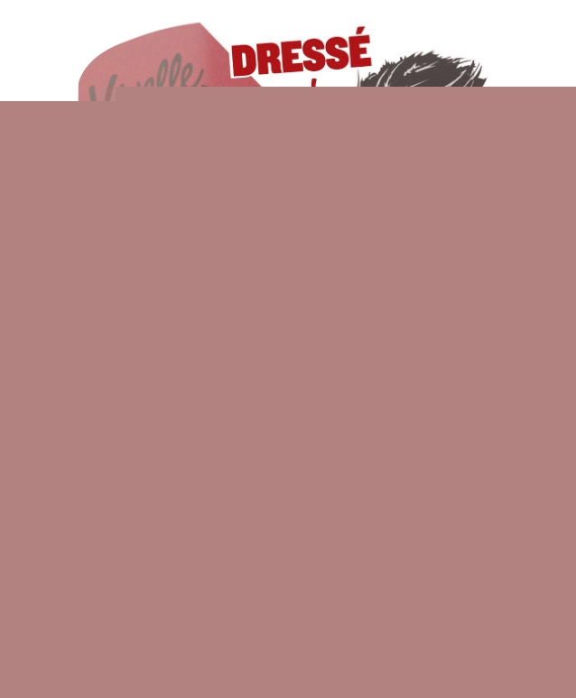 Cire coiffante playgum dressé Vivelle dop