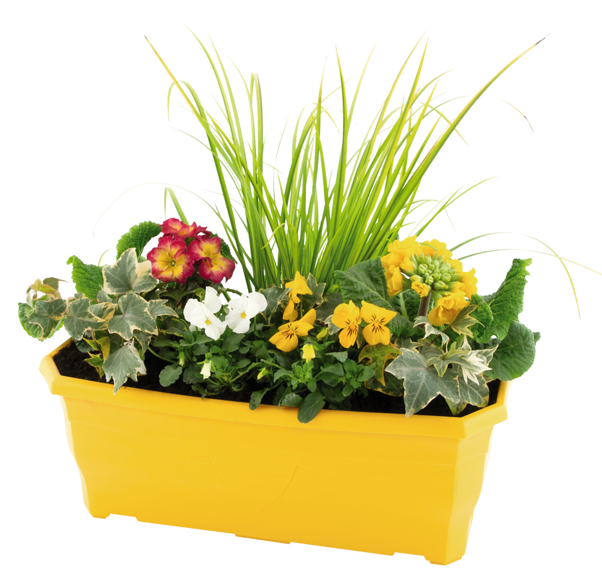  Jardinière code EAN 3600610003117 