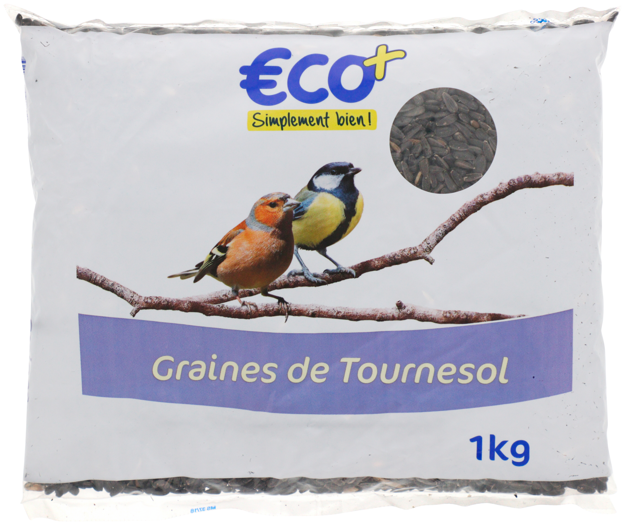 graines de tournesol