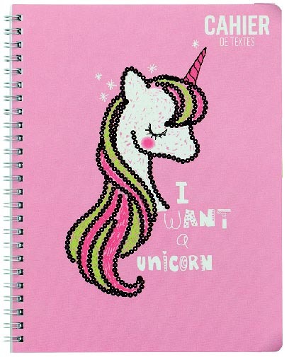 CAHIER DE TEXTE “ECO+” 3601010062407 (3601010062407)
