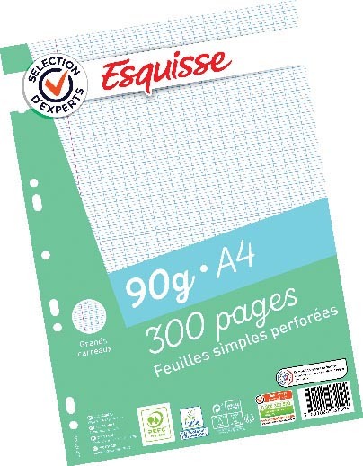  300 PAGES FEUILLES SIMPLES PERFORÉES esquissenoir  3601020032094