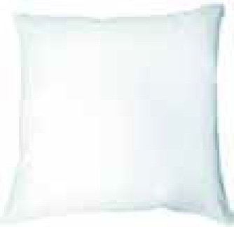 OREILLER ANTI-ACARIENS GREENTOP® 60 X 60 CM OU ...