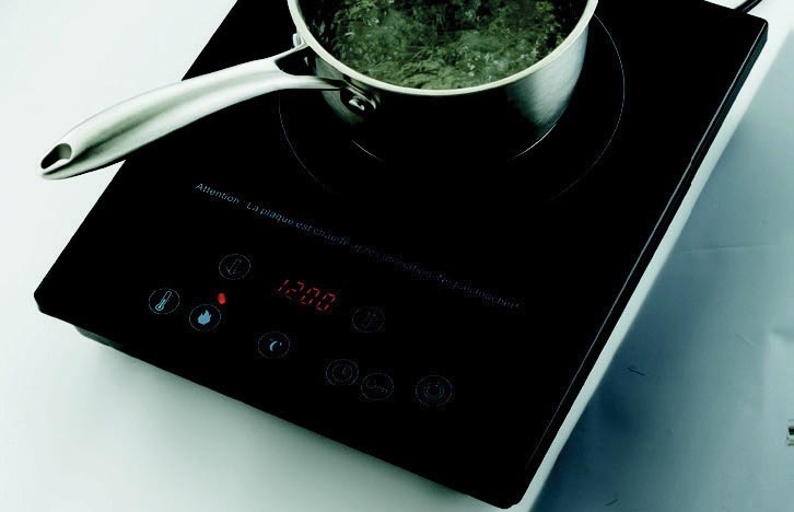 L2023 Plaque induction