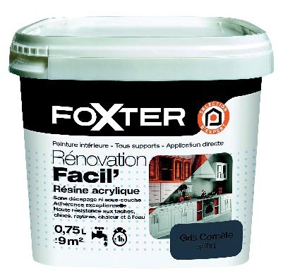  Peinture renovation facil Foxter  3601029894556