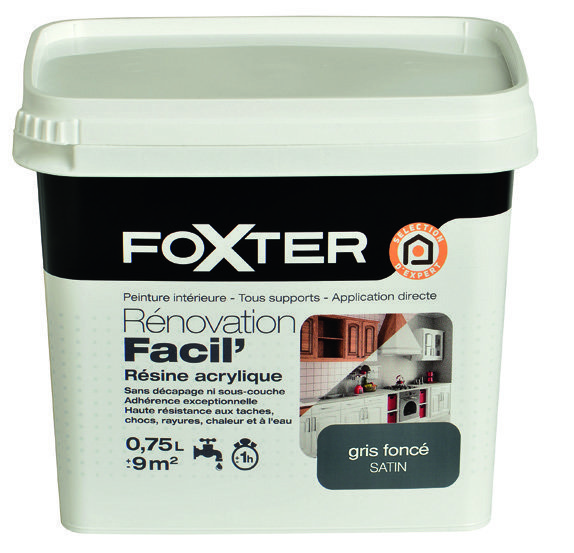 PEINTURE DE RÉNOVATION