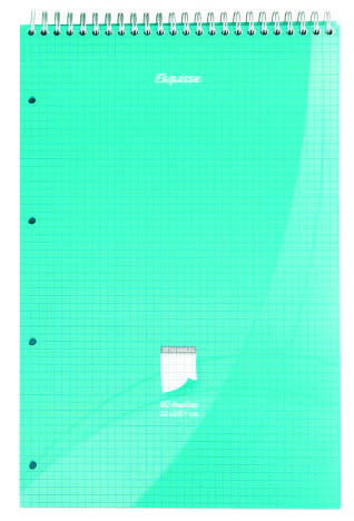  BLOC SPIRALE PERFORÉ “ESQUISSE” code EAN 3601029932401 