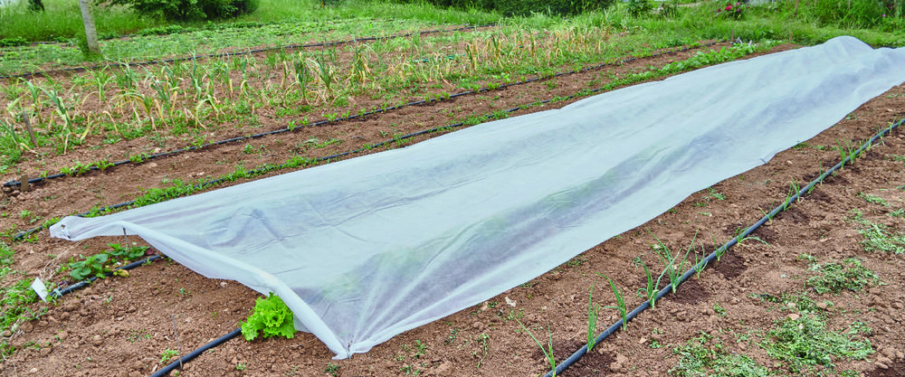  VOILE D'HIVERNAGE code EAN 3601029942134 