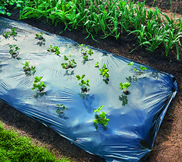  FILM DE PAILLAGE “BEAUX JOURS” code EAN 3601029942196 