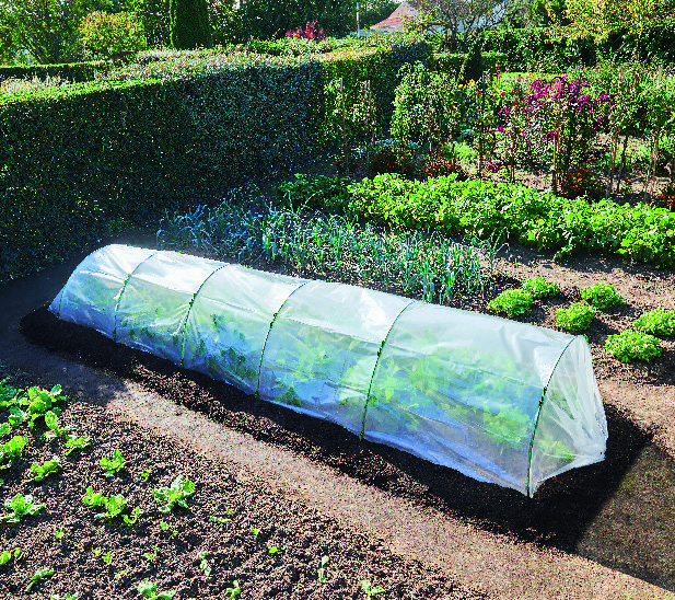  FILM DE FORÇAGE “BEAUX JOURS” code EAN 3601029942615 