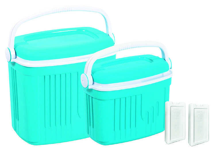  LOT 2 GLACIERES + 2 ACCUMULATEURS DE FROID “WOODSUN” code EAN 3601029948686 