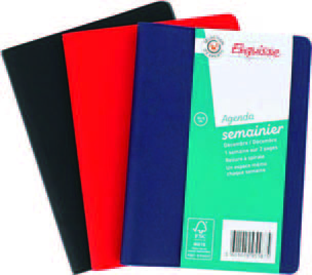  SEMAINIER  code EAN 3601029955875 