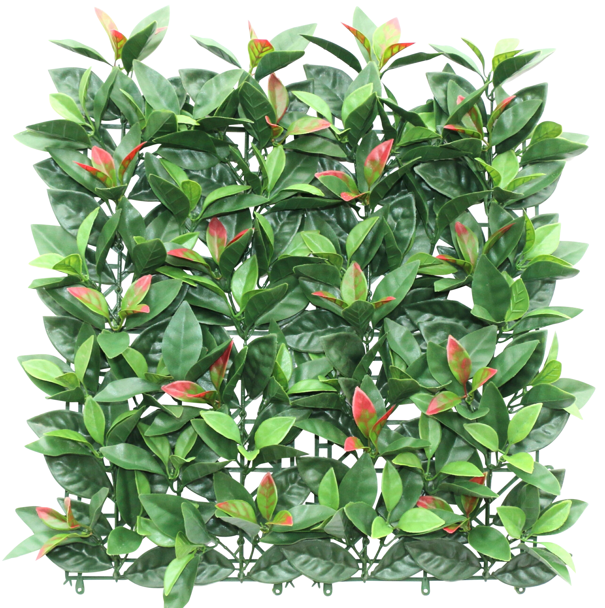 BEAUX JOURS MUR VÉGÉTAL code EAN 3601029967502 