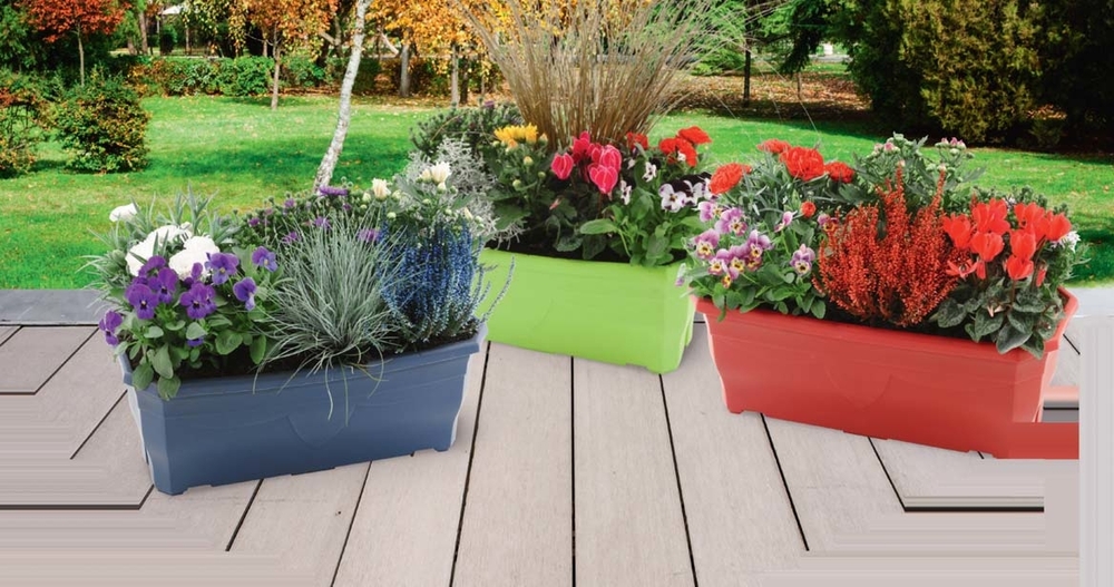 JARDINIÈRE D’AUTOMNE 3601686010924 