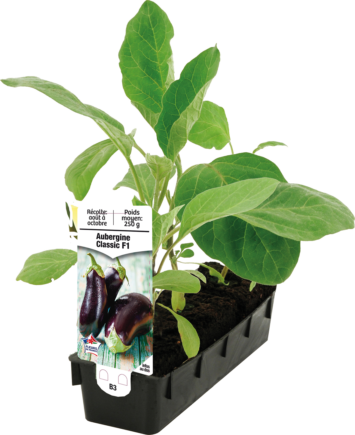 LÉGUMES 3601689691595 