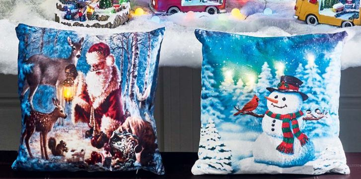 COUSSIN LUMINEUX 3603312941893 (3603312941893)