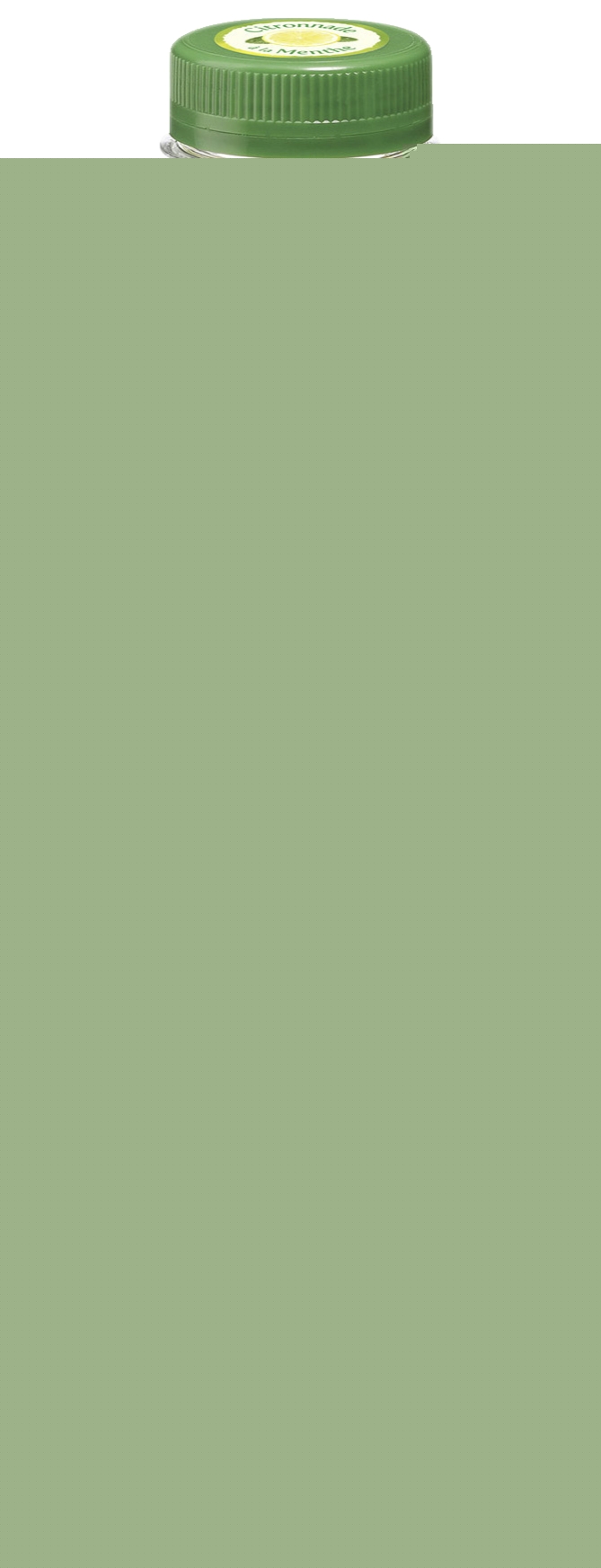 Citronnade à la menthe Andros