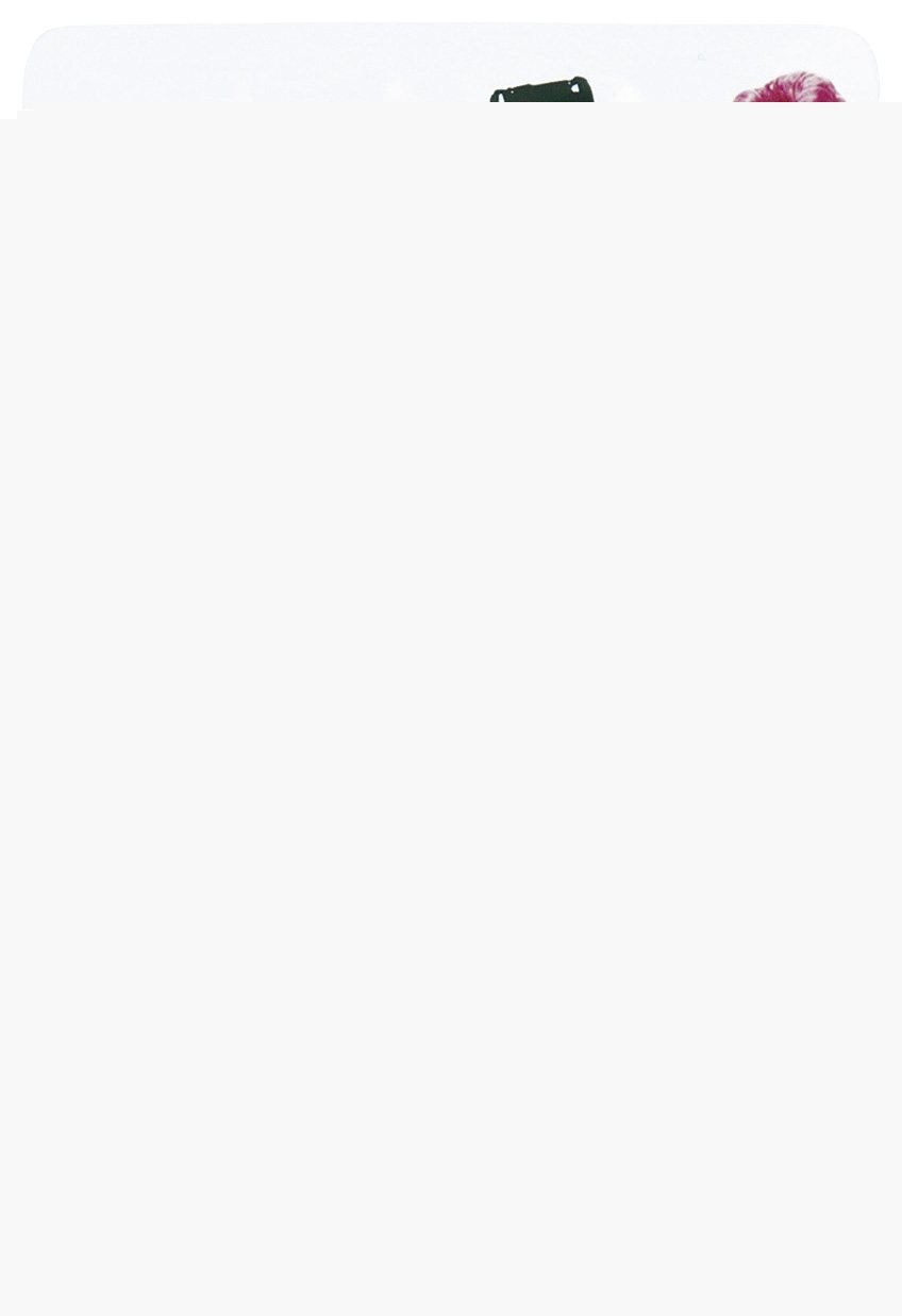 Fruit sticks framboise N.A !