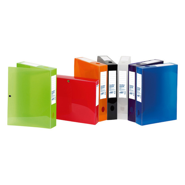 SUR LES BOITES DE CLASSEMENT CARREFOUR