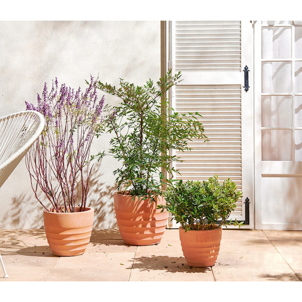  Pot Futuna terre cuite code EAN 3613867275442 