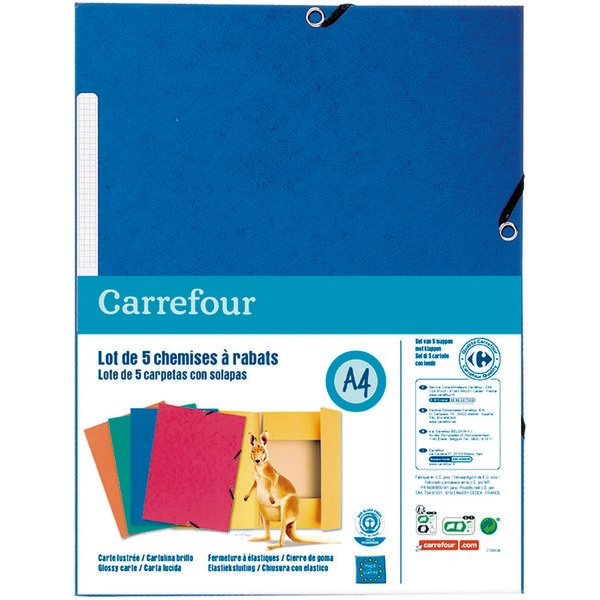 LOT DE 5 CHEMISES À RABATS CARREFOUR
