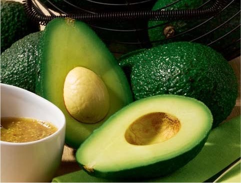 AVOCAT AFFINÉ 3614703015796 (3614703015796)