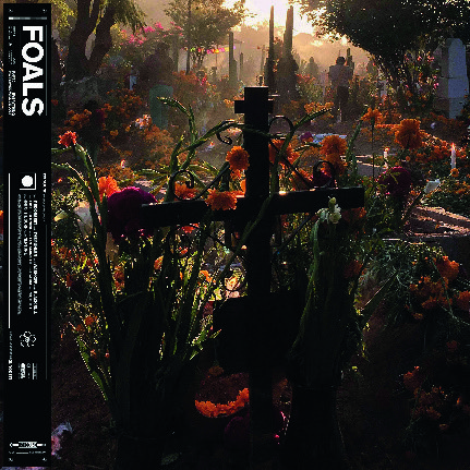 FOALS 3614703536185 (3614703536185)