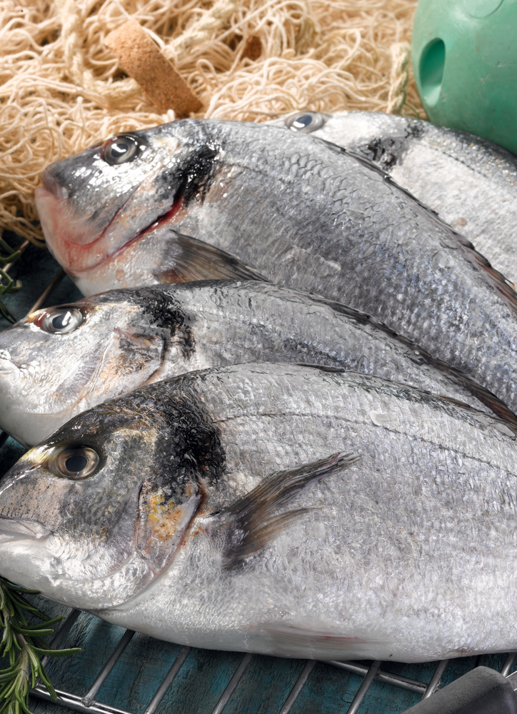 DORADE ROYALE(1) 3614703722120 (3614703722120)