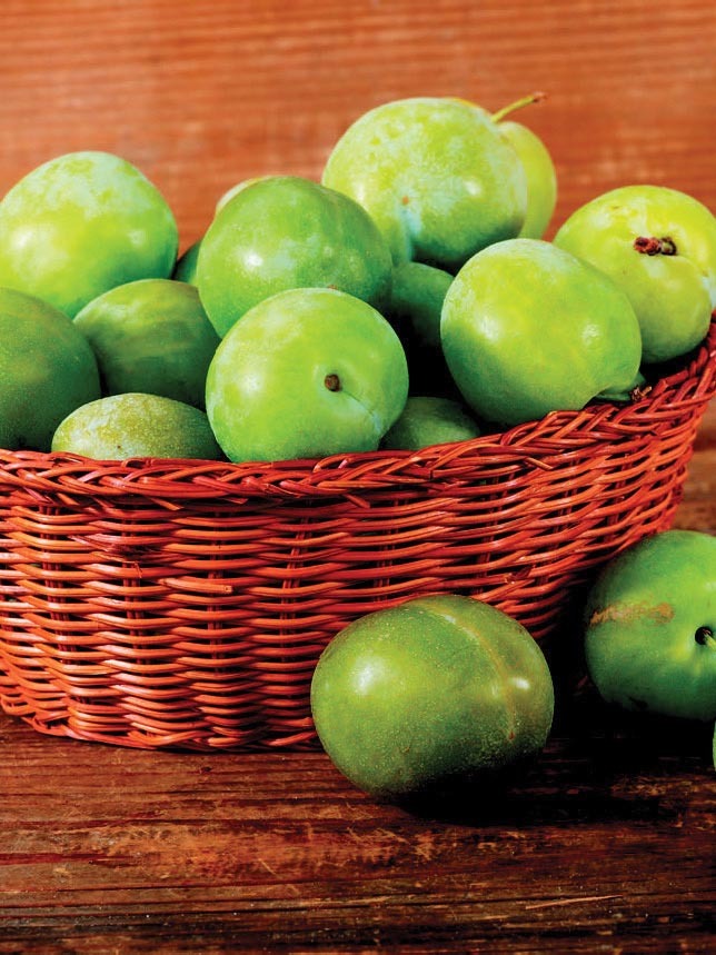  PRUNE code EAN 3614704353217 