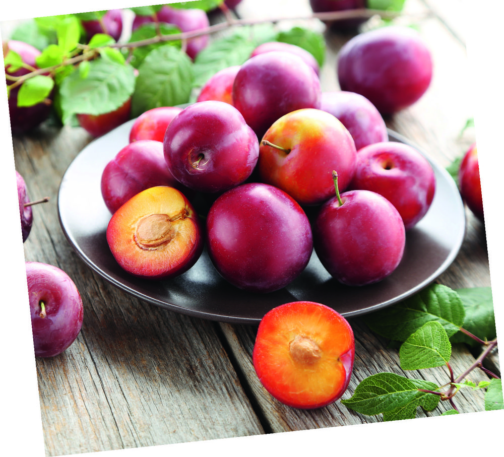  PRUNE code EAN 3614704525928 