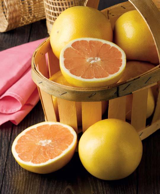  POMELOS ROUGE  code EAN 3614704800742 