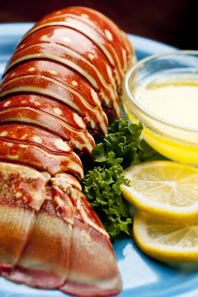 HOMARD EUROPÉEN CUIT* (DIT HOMARD BLEU) 3614704921355 