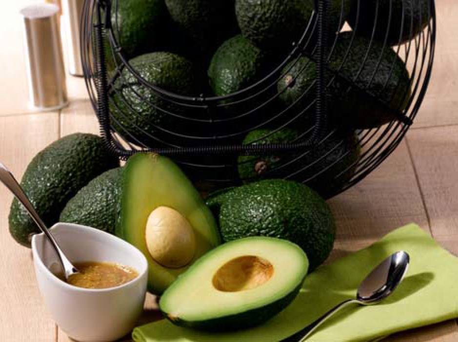 AVOCAT  3614704928057 