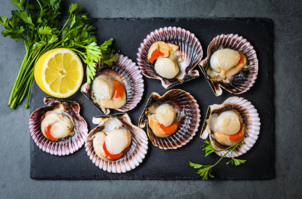 COQUILLE SAINT JACQUES* 3614705021603 (3614705021603)