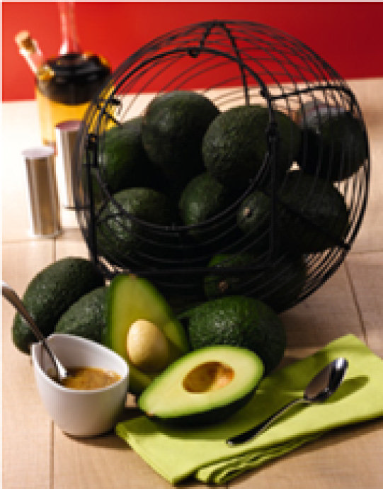 AVOCAT 3614705026653 