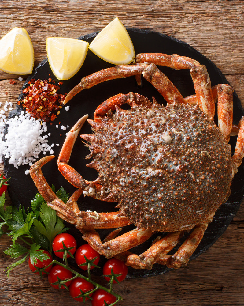 ARAIGNÉE CUITE* 3614705026769 