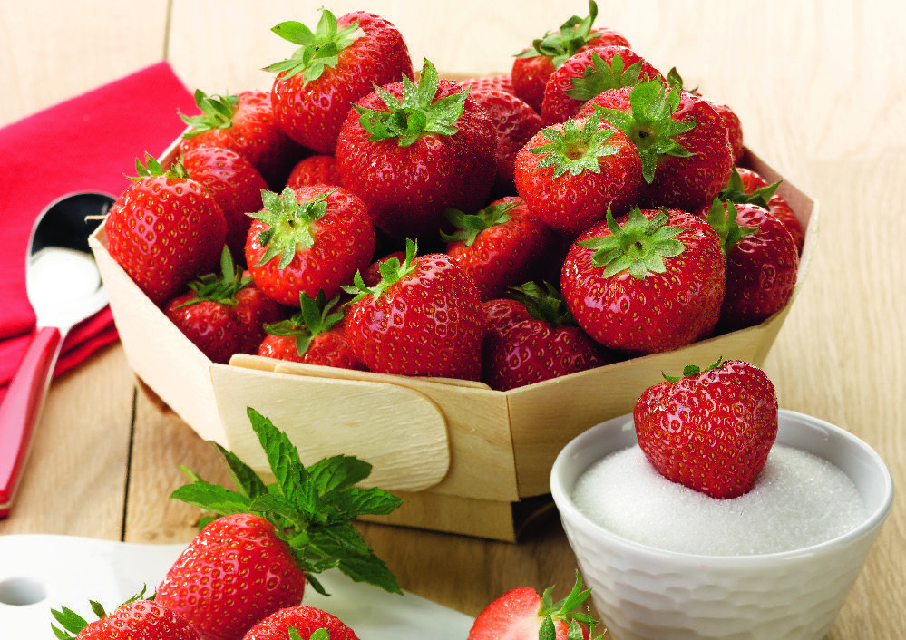 FRAISE 3614705033835 (3614705033835)