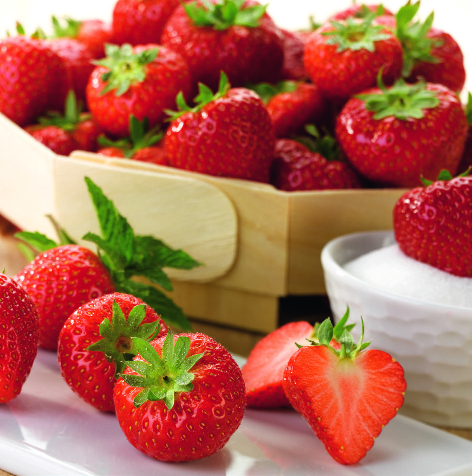 FRAISE RONDE 3614705491109 (3614705491109)