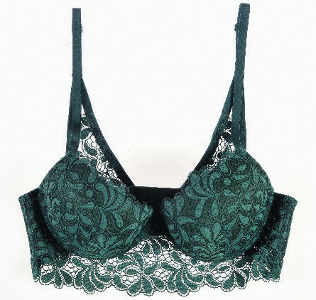 SOUTIEN-GORGE COQUE