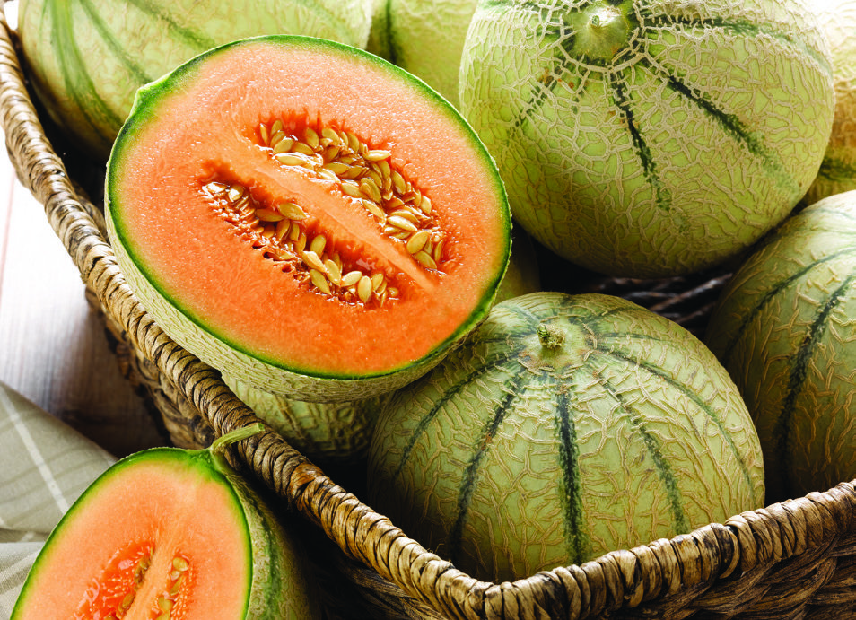  MELON code EAN 3614705512811 