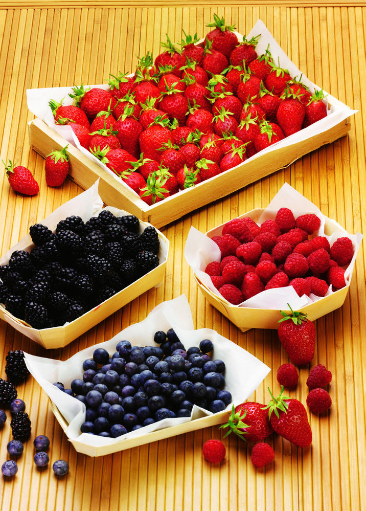 MYRTILLE 3614705535469 