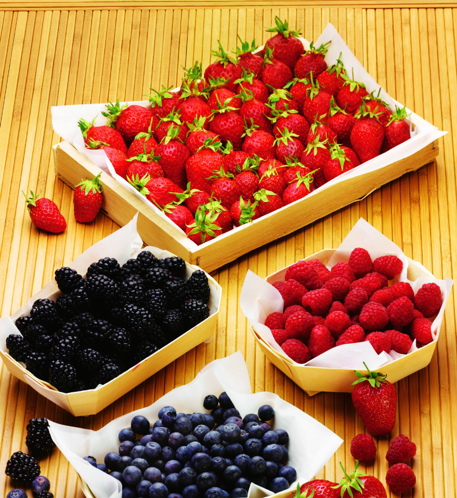  MÛRE code EAN 3614705535483 