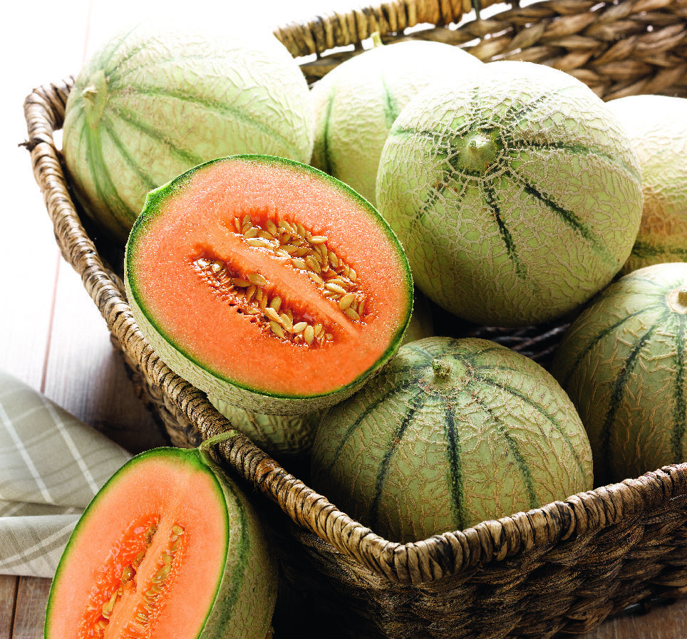  MELON code EAN 3614705541989 