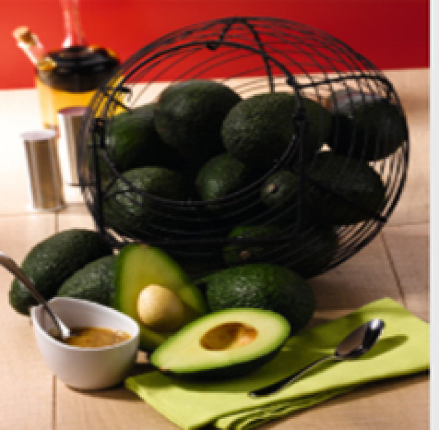 AVOCAT 3614705626396 