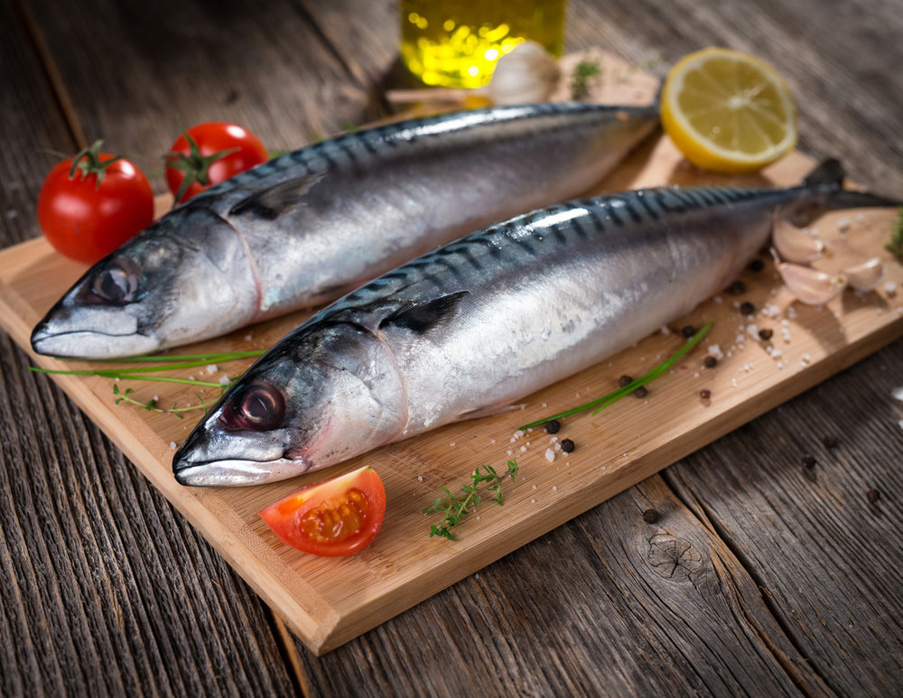  MAQUEREAU code EAN 3614705626587 