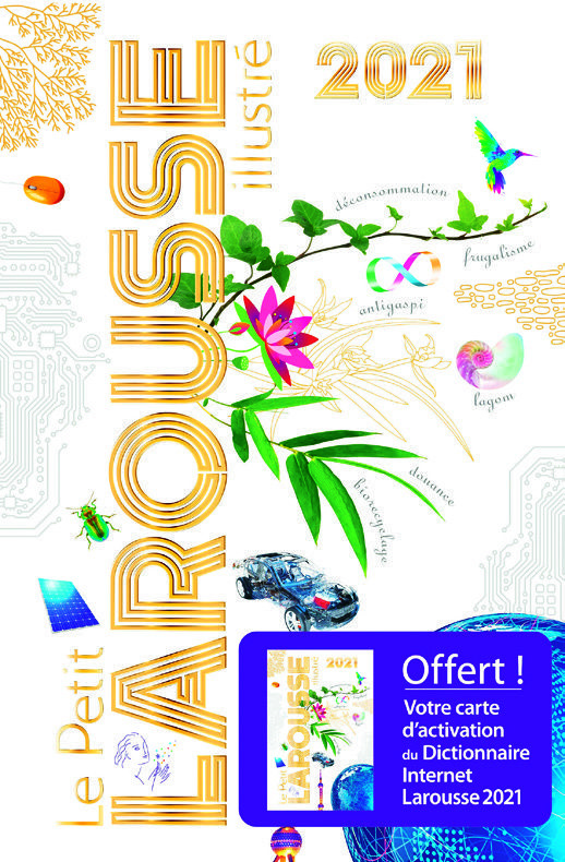 SÉLECTION DICTIONNAIRES FRANÇAIS ET BILINGUES* 3614705629649 