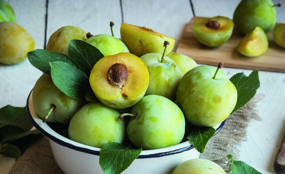  PRUNE code EAN 3614705720674 