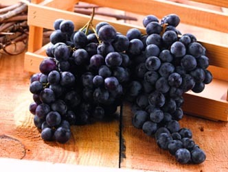  RAISIN code EAN 3614705866709 